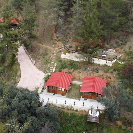 Bosco Paradiso Limassol Luaran gambar