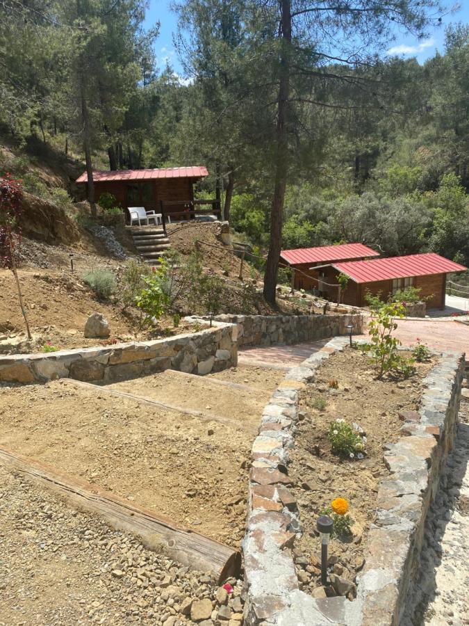 Bosco Paradiso Limassol Luaran gambar