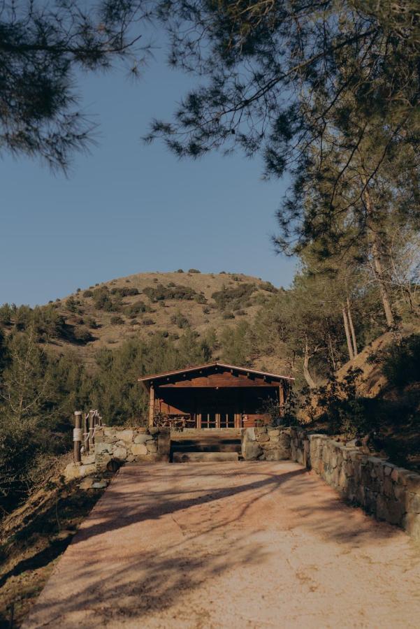 Bosco Paradiso Limassol Luaran gambar