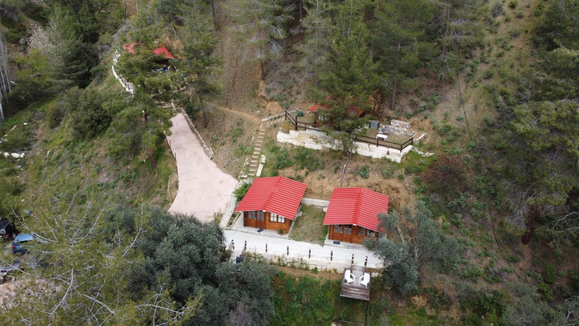 Bosco Paradiso Limassol Luaran gambar